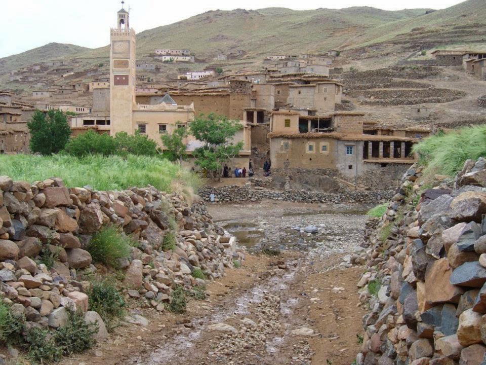 Blog Image